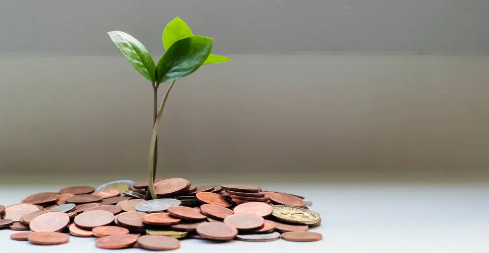 Cut spending challenge